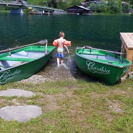 Carinthia 3*