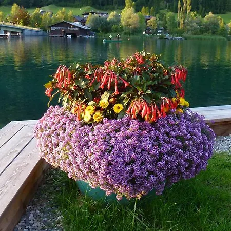 Carinthia Affittacamere